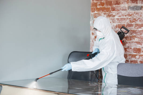 Best Mold Removal for HVAC Installations in Stratford, NJ